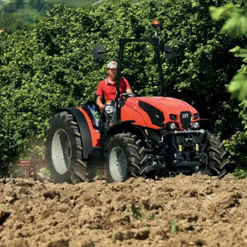 Same Frutteto Platform Faz V