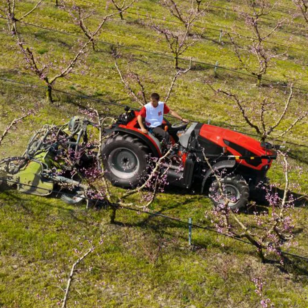 Same Frutteto Platform Faz V